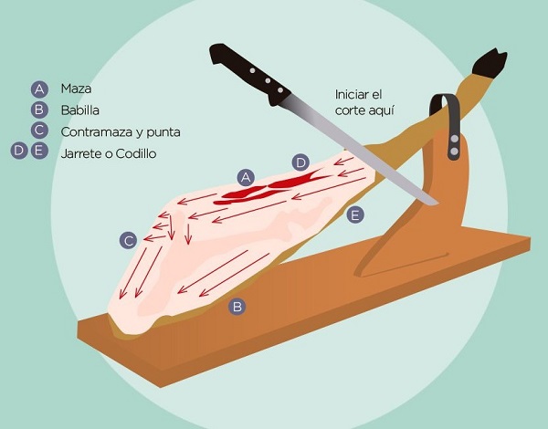 blog-partes-del-jamón-jamoneria-la-pecha